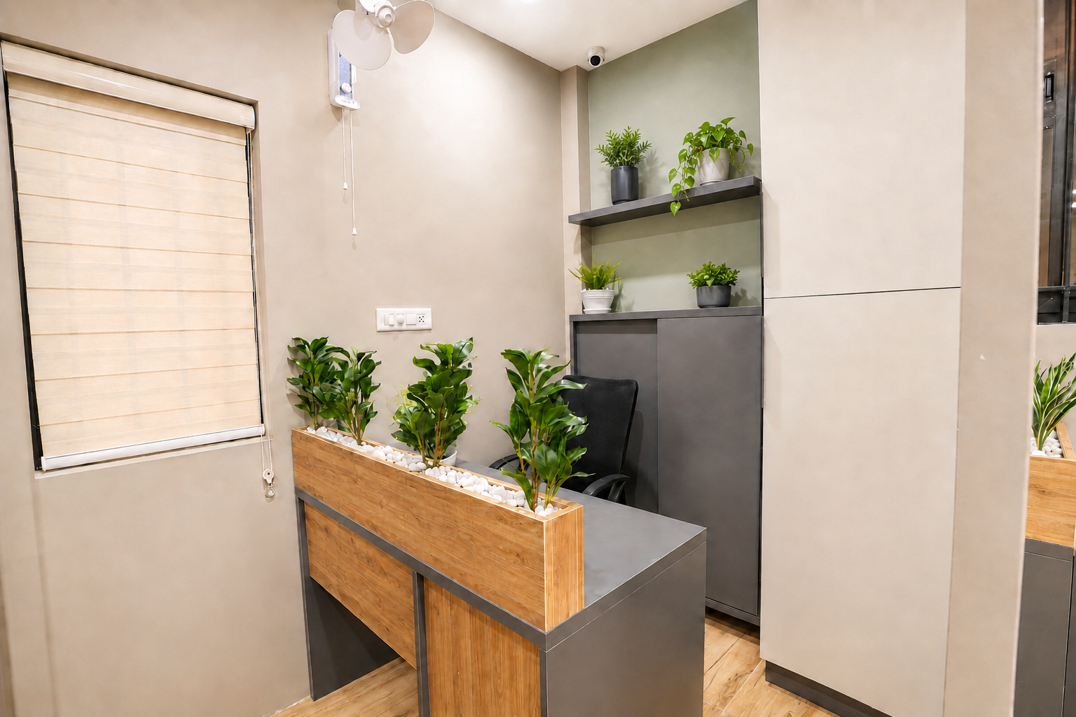 Reception area with wooden desk and planters